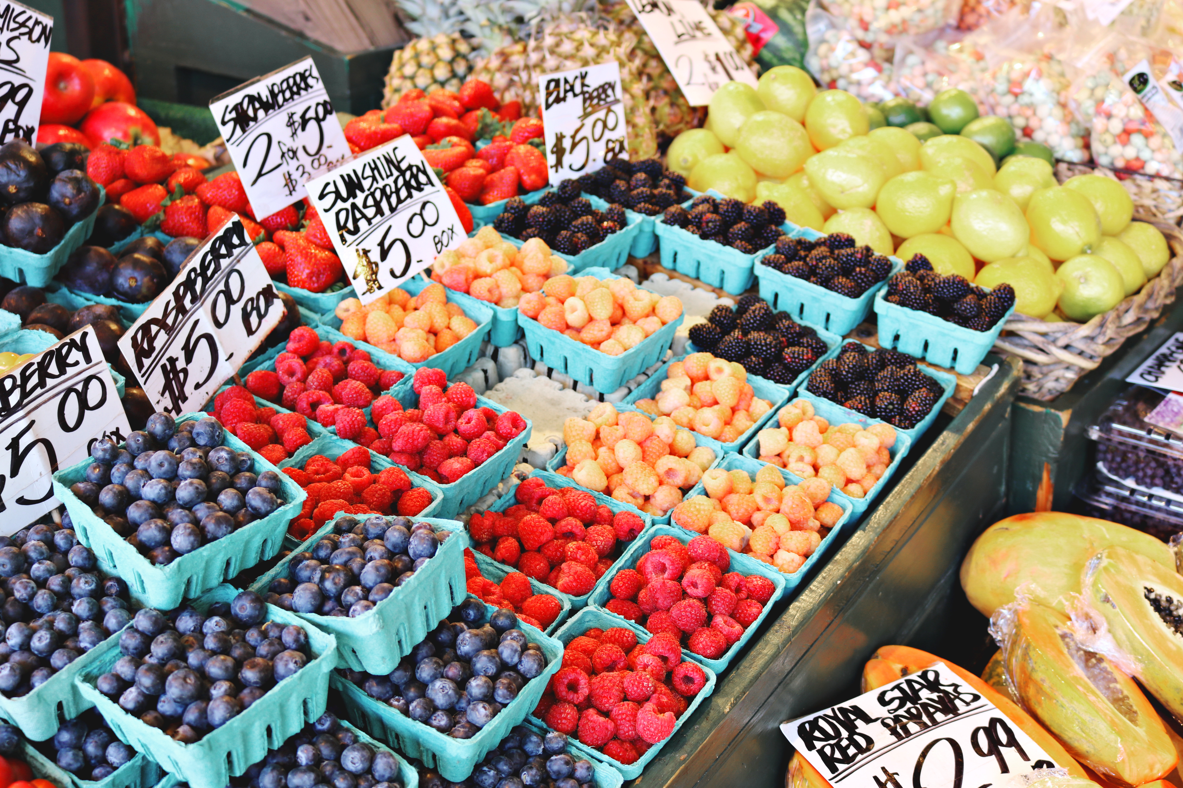 Proposte in materia di commercio